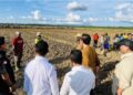 Presiden Tinjau Food Estate di Keerom Papua