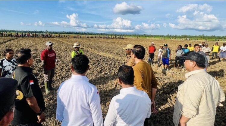 Presiden Tinjau Food Estate di Keerom Papua