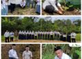 18 Madrasah di Pangandaran Turut Sukseskan Gerakan Penanaman Pohon Serentak se-Jawa Barat