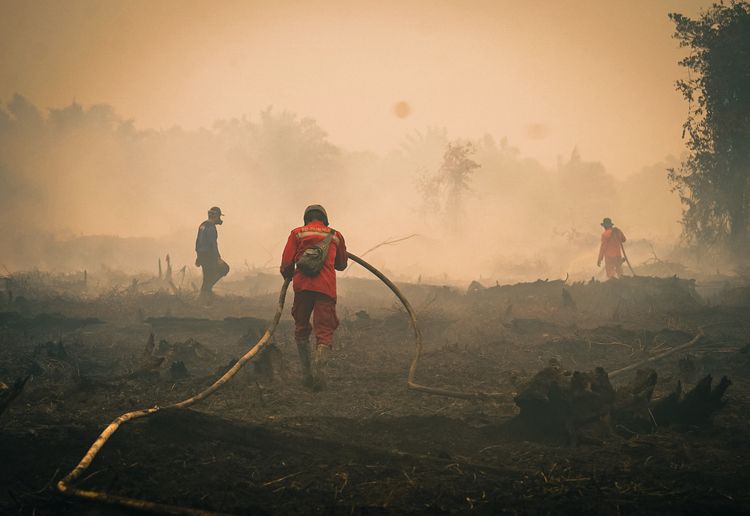 Karhutla Tanjung Puting, Menhut Raja Antoni Tingkatkan Water Bombing